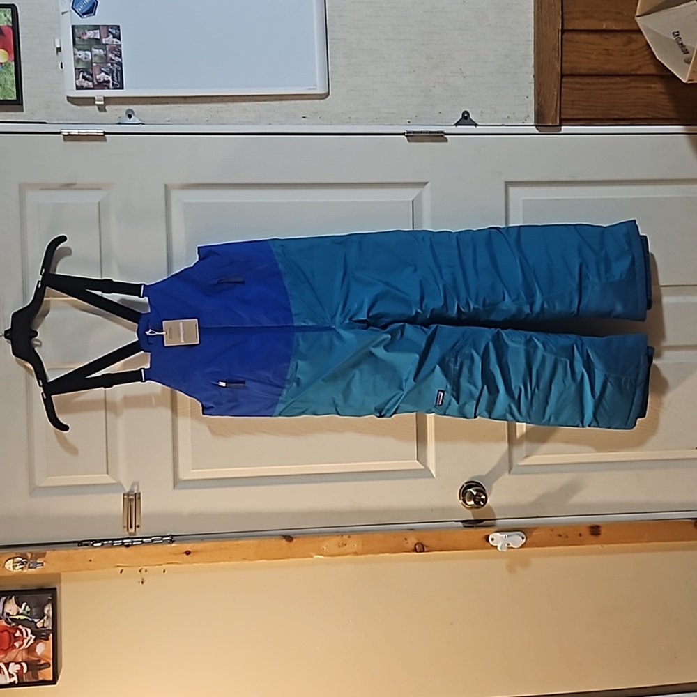 Patagonia Kids Bib Snow Pants in Blue and Teal